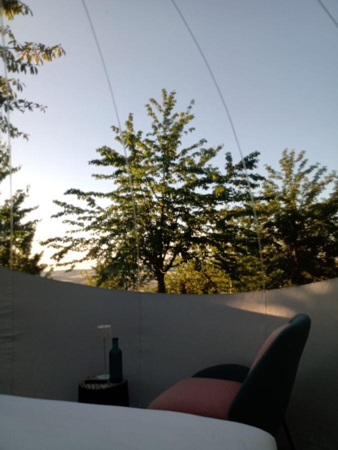 Hotel La Bolla del Borgo. Le Marche tra le stelle. Corinaldo Esterno foto